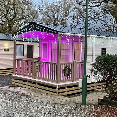 Snowdonia Holidays Caravan Hire - Aberdunant Park - 111 Silver Birch Porthmadog Exteriör bild