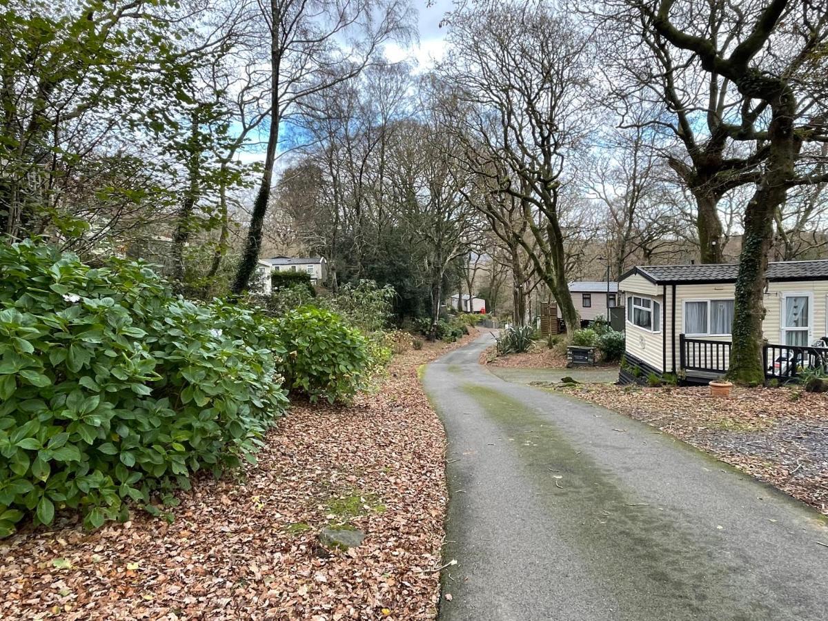 Snowdonia Holidays Caravan Hire - Aberdunant Park - 111 Silver Birch Porthmadog Exteriör bild