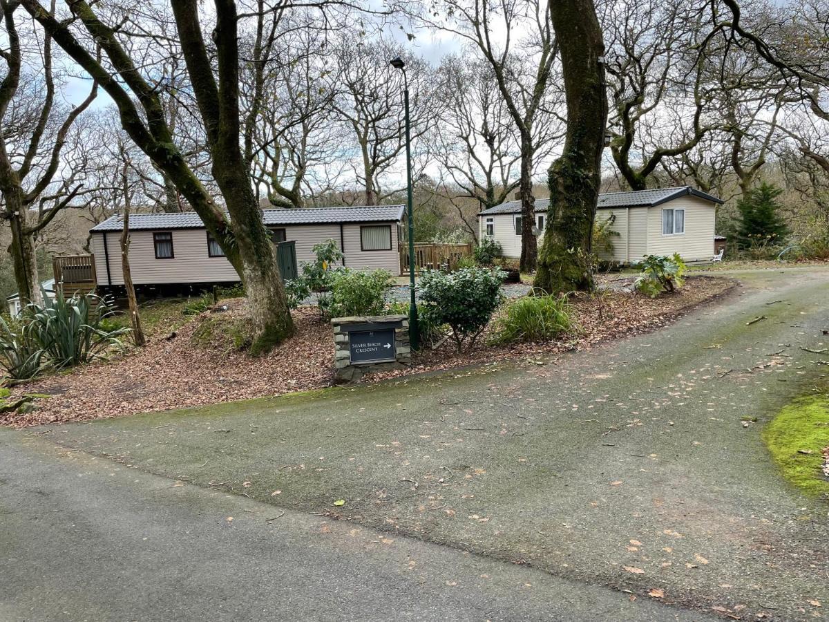 Snowdonia Holidays Caravan Hire - Aberdunant Park - 111 Silver Birch Porthmadog Exteriör bild