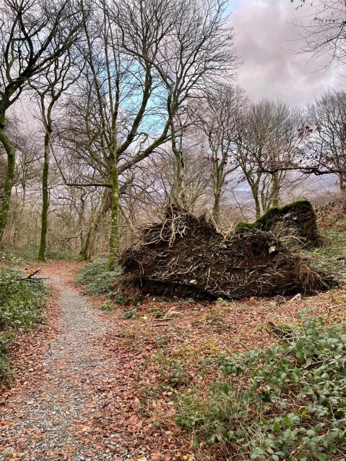 Snowdonia Holidays Caravan Hire - Aberdunant Park - 111 Silver Birch Porthmadog Exteriör bild