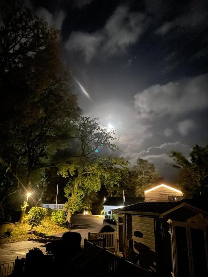 Snowdonia Holidays Caravan Hire - Aberdunant Park - 111 Silver Birch Porthmadog Exteriör bild